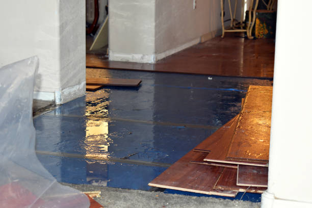 Professional Water Damage Restoration technician working in Newark, AR